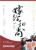嫁给一个和尚小说讲的什么